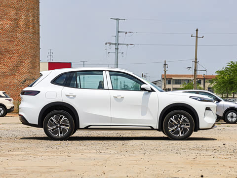 2025�� 55km ������