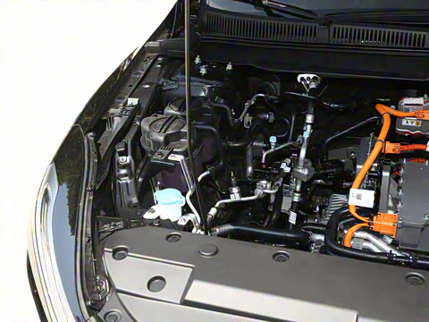 2025�� 500km ���а�