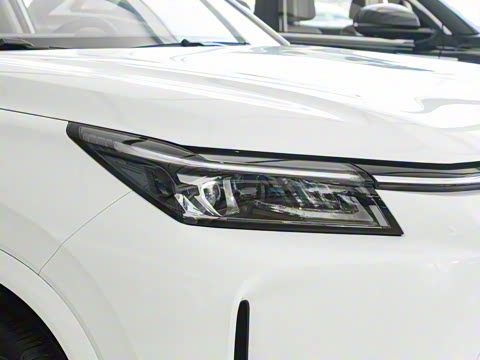 2026�� 165km ������������ 7��