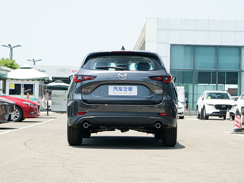 2025�� 2.0L �Զ�����������