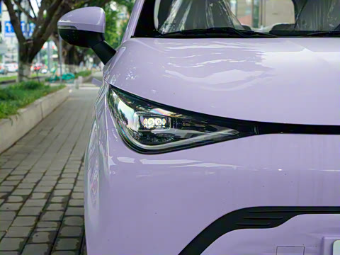 2026�� Mate 305km ����̤�˰�