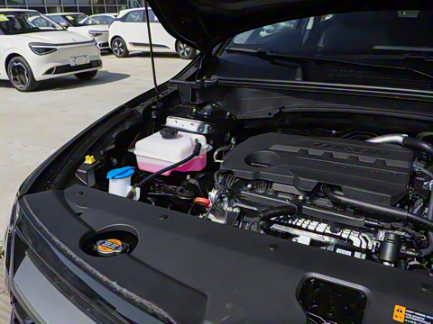 2025�� 2.0T ����������