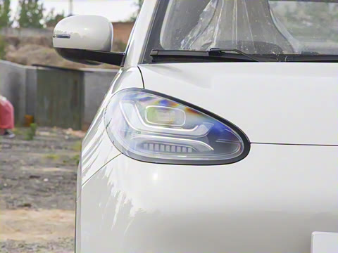 2025�� 333km ������