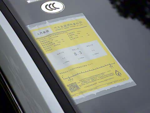 2019�� 20T �ֶ��˶���