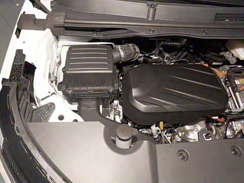 2025�� �콢��