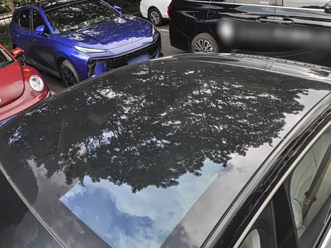 2025�� 235���� ������