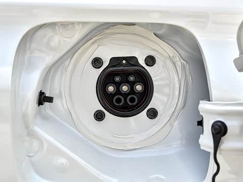 2019�� ������������