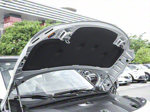 2026�� �鶯��������