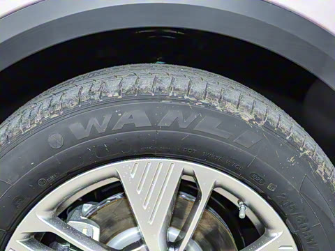 2025�� 445km ���ð�