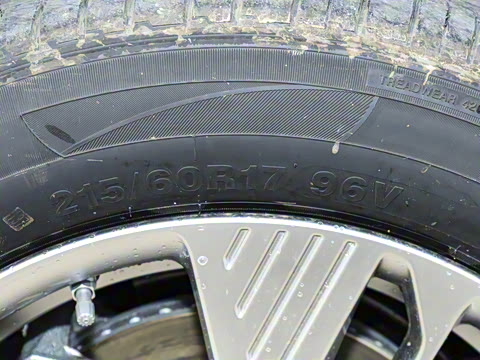 2025�� 445km ���ð�