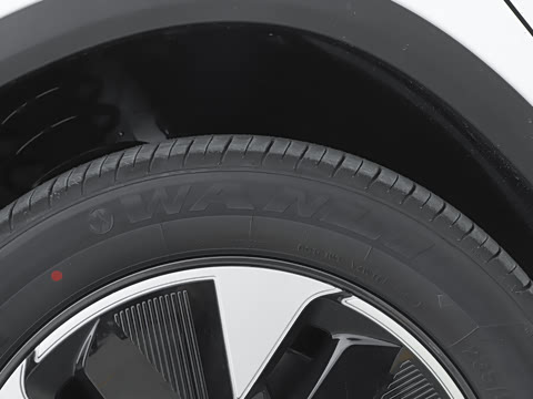 2025�� 205��������������