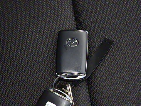 2021�� 2.0L �Զ����Ű�