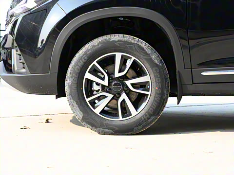 2022�� ʢ���� 1.6L �ֶ����ΰ�����