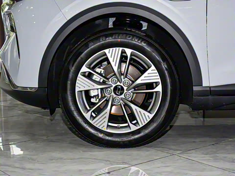 2025�� 445km ��ѡ��