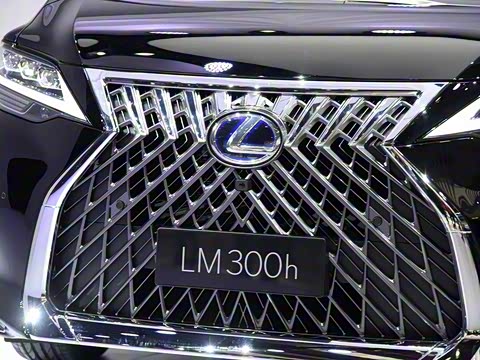 2020�� 300h ����������