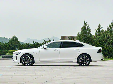 2026�� ���ʽ�춯 �������������ź�����