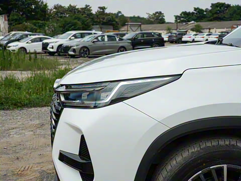 2024�� �ھ��� 290T ������ҫ�� 5��