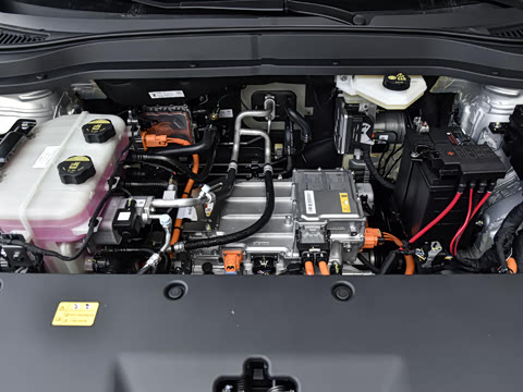 2025�� 445km ��ѡ��