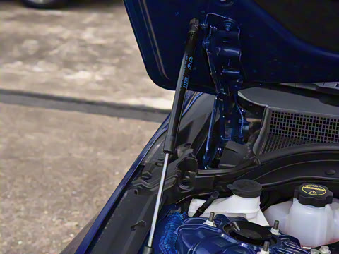 2025�� 28T �����˶���