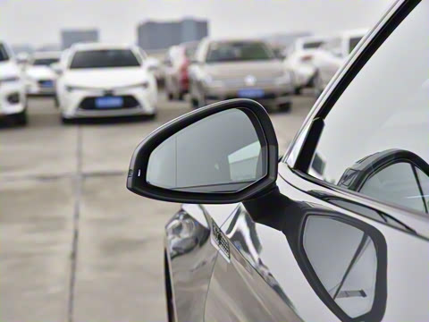 2022�� RS 5 2.9T Sportback ���װ�