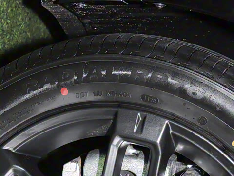 2025�� ���������� 650 ������