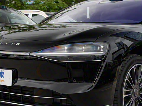 2025�� ���� Max