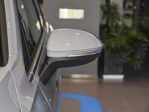 2025�� �Ŀ� 300TSI Pro