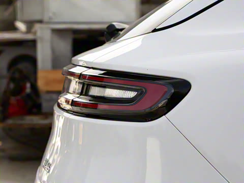 2022�� �������������