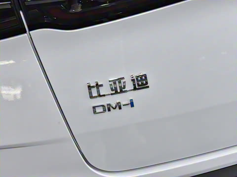 2025�� DM-i 80KM�����