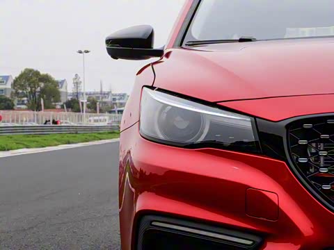 2019�� 50T Trophy 5���