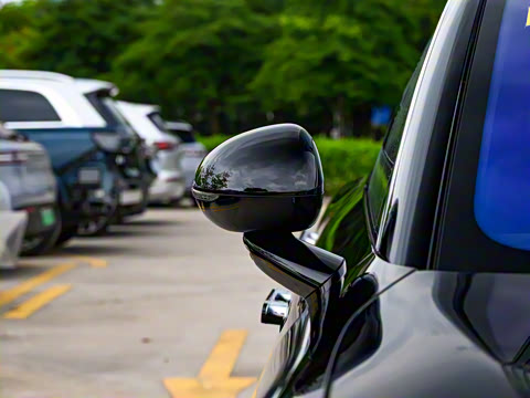 2025�� ���� Max