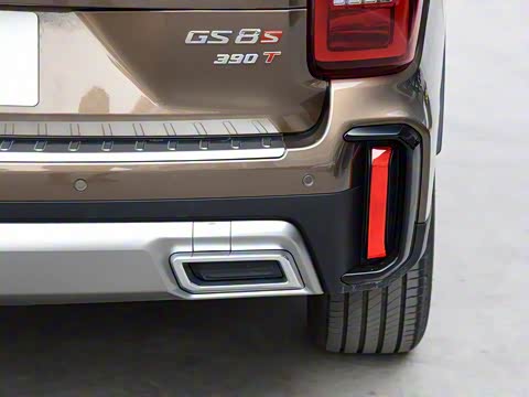 2020�� GS8S 390T ��������������