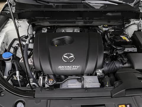 2020�� �Ŀ� 2.0L �Զ�����������