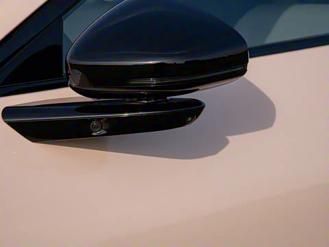 2025�� 600 �������� Max