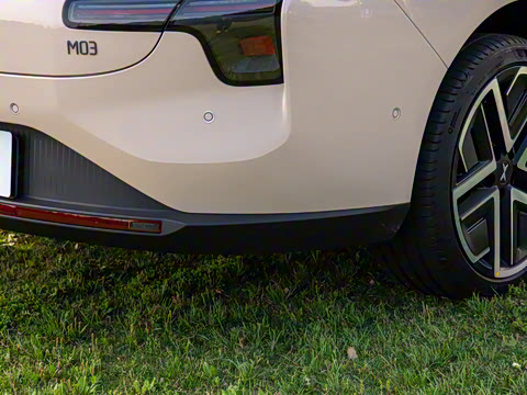 2025�� 502 ������ Max