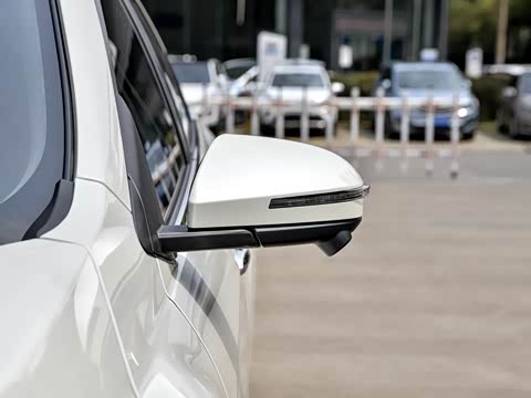 2019�� ������������