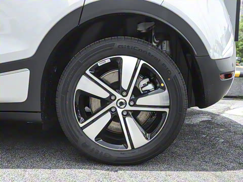 2026�� �鶯��������