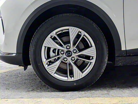 2025�� 445km ��ѡ��