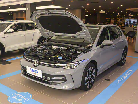 2025�� �Ŀ� 300TSI Pro