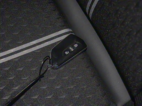 2025�� �Ŀ� 300TSI Pro