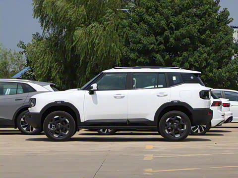 2025�� 2.0TD XWD��Խ