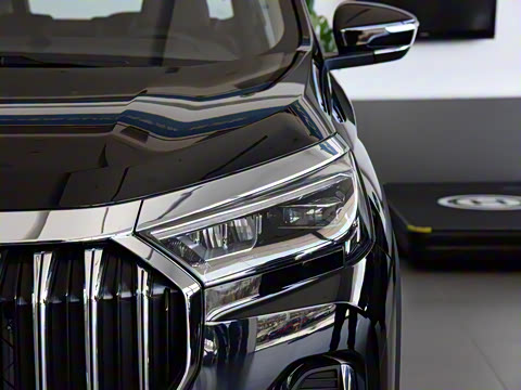 2024�� 1.6TD DCT����PRO 5��