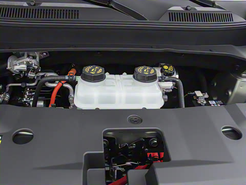 2026�� 501km�����