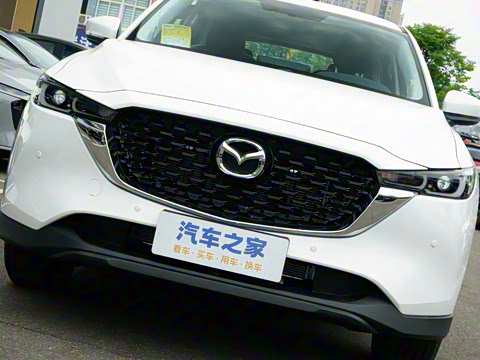 2025�� 2.0L �Զ�����������