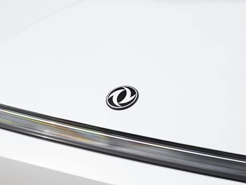 2025�� 205��������������