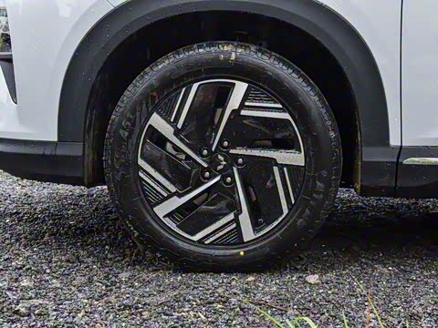 2025�� 510km �캽��