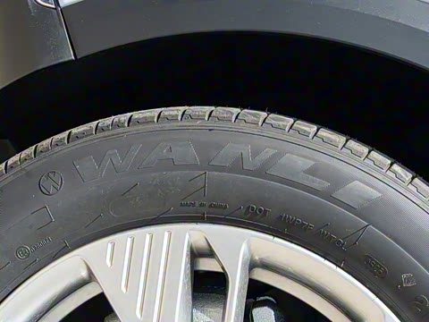 2025�� 445km ���ð�