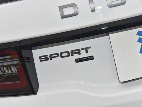 2022�� P300e ���ܿƼ���