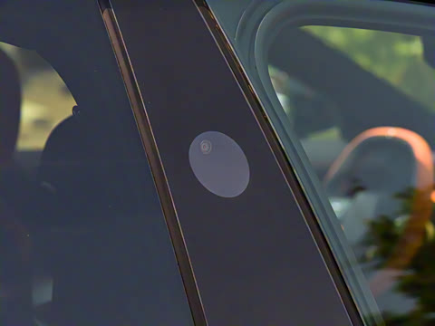 2025�� ������������������Max��