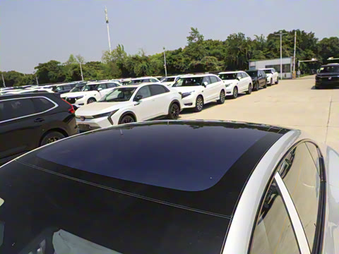 2025�� ���� 550Pro�캽��